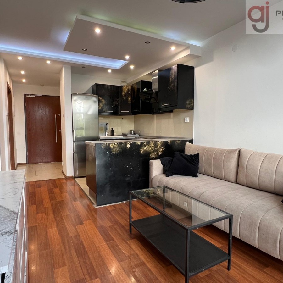 łódzkie, Łódź, Śródmieście, Tymienieckiego, Wynajem, 2pok. Loft - ul. Tymienieckiego 25C